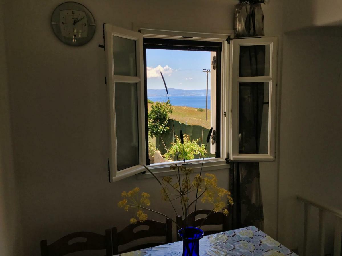 Anthoula'S Sea View Apartment Piso Livadi Exterior photo