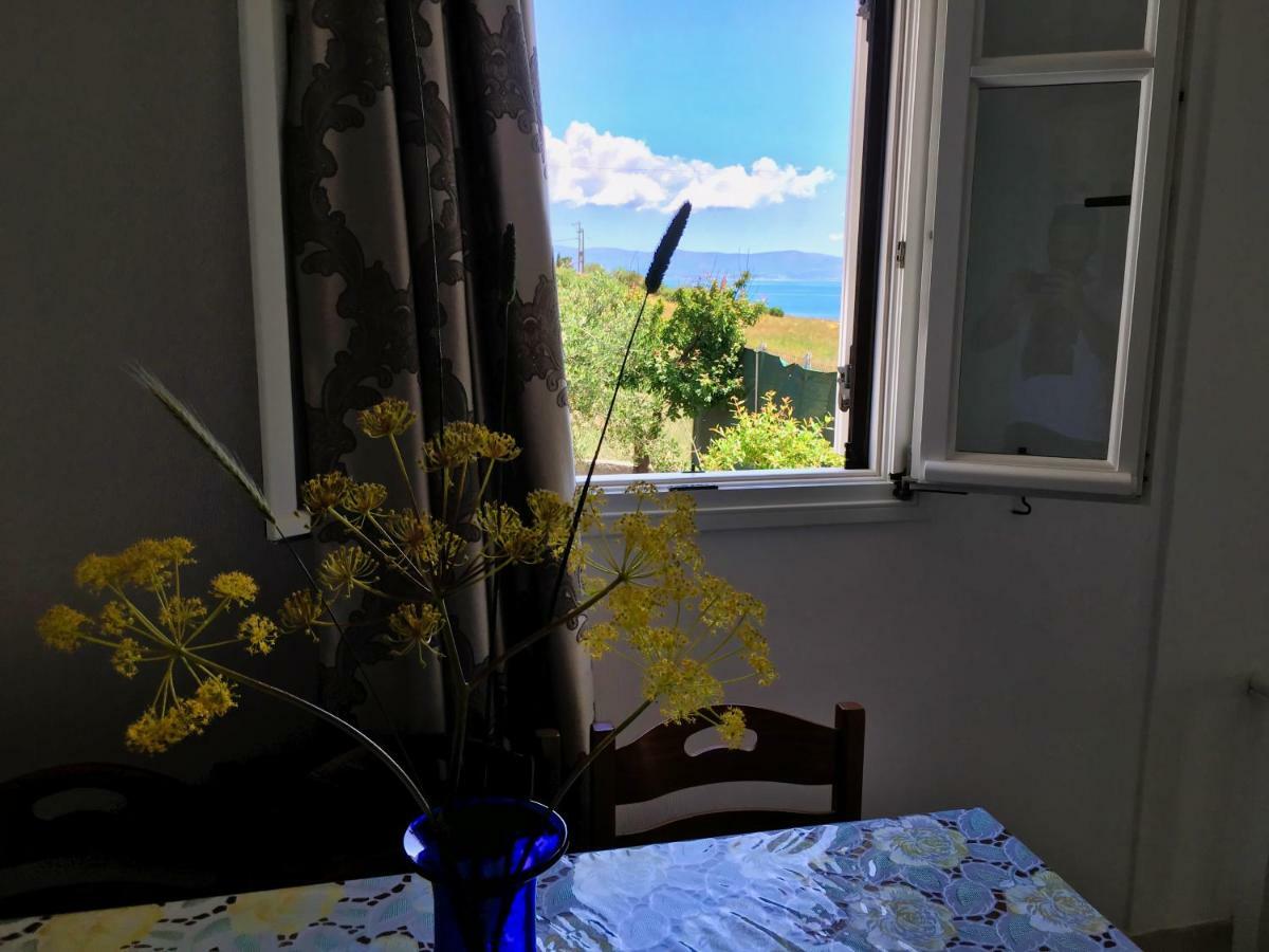 Anthoula'S Sea View Apartment Piso Livadi Exterior photo