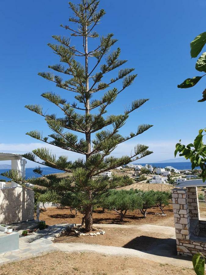 Anthoula'S Sea View Apartment Piso Livadi Exterior photo