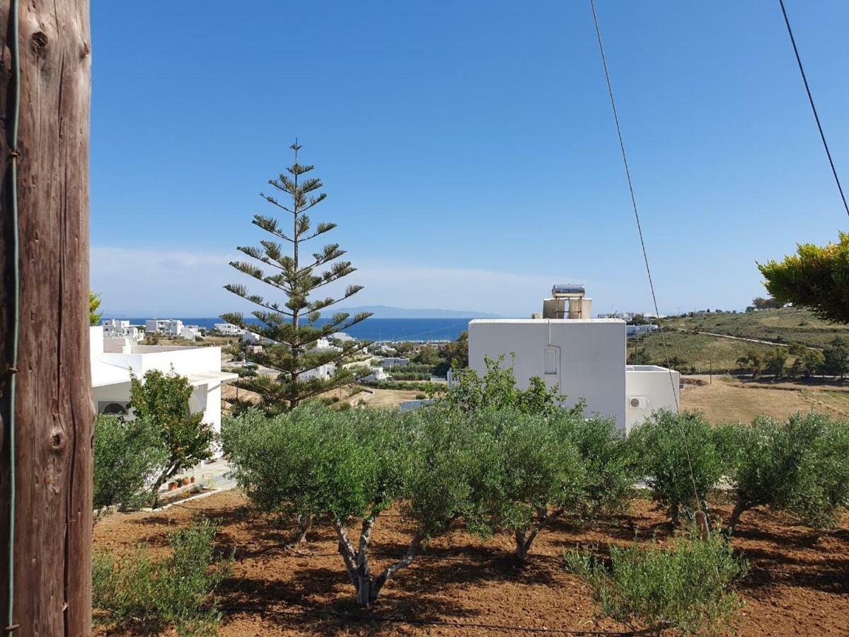 Anthoula'S Sea View Apartment Piso Livadi Exterior photo